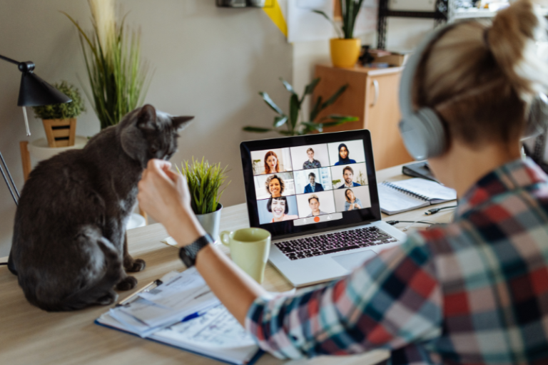 Person at computer stroking a cat