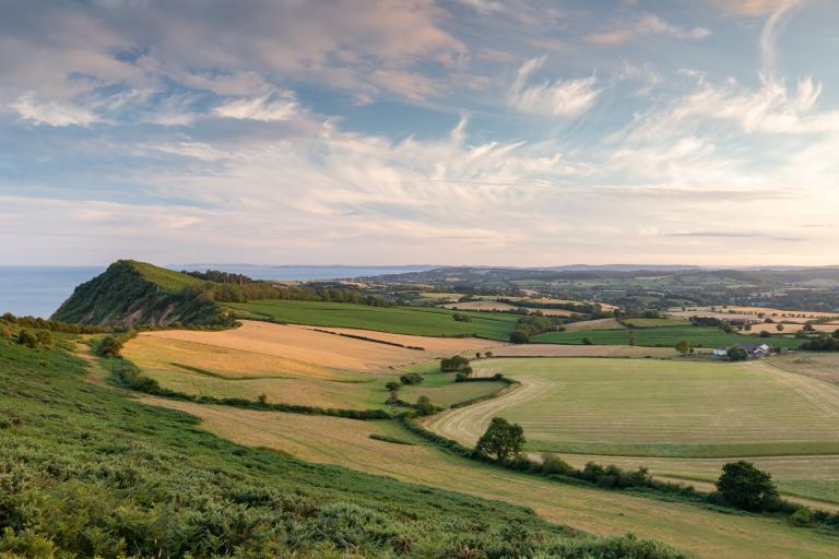 Devon landscape